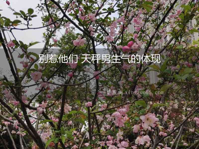 別惹他們 天秤男生氣的體現(xiàn)