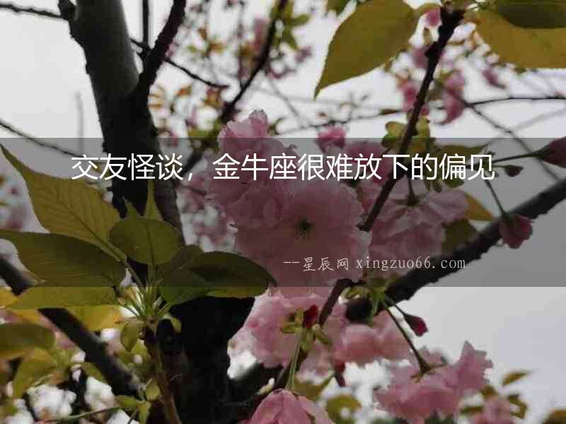 交友怪談，金牛座很難放下的偏見