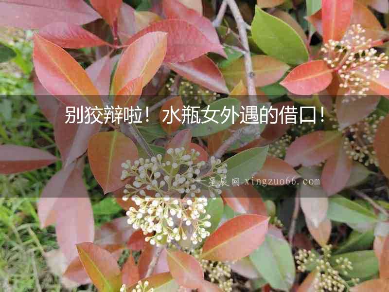 別狡辯啦！水瓶女外遇的借口！