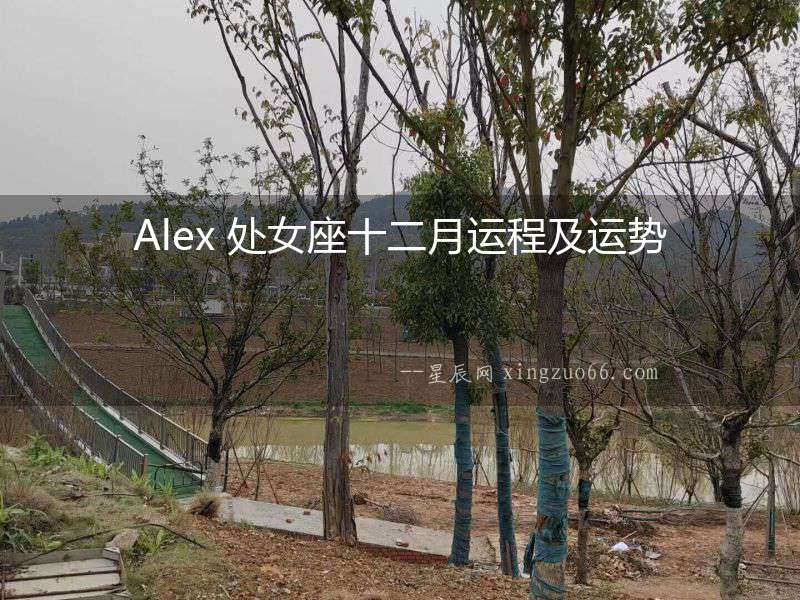 Alex 處女座十二月運(yùn)程及運(yùn)勢(shì)
