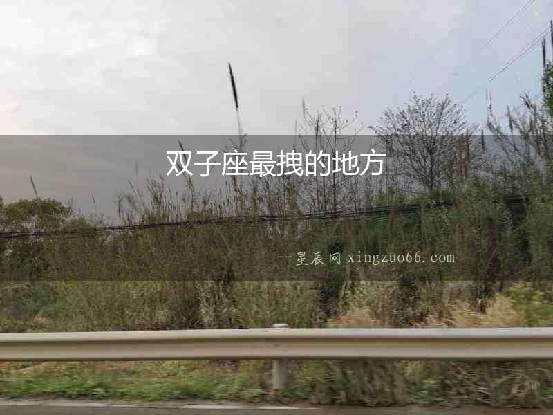 雙子座最拽的地方