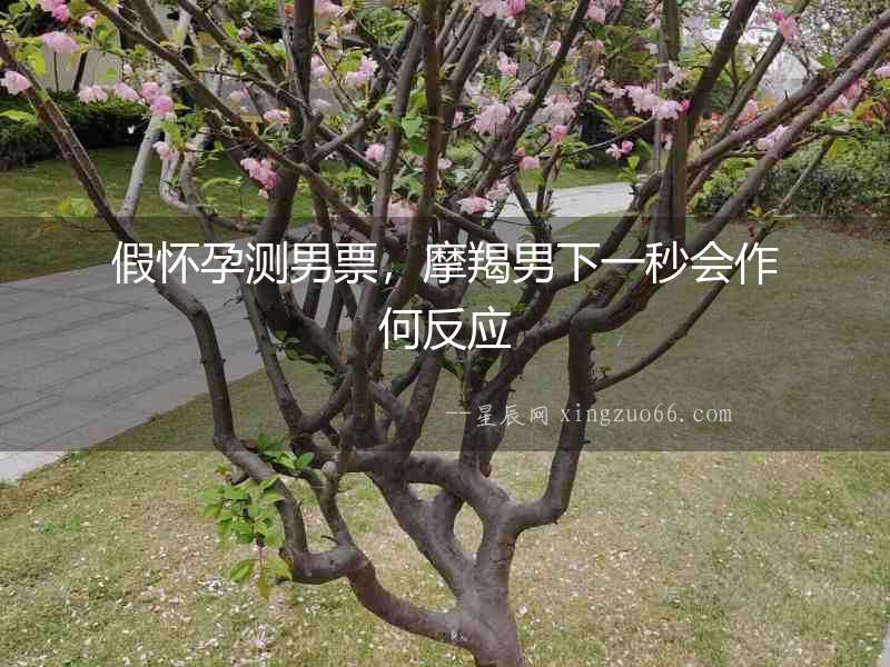 假懷孕測男票，摩羯男下一秒會作何反應(yīng)