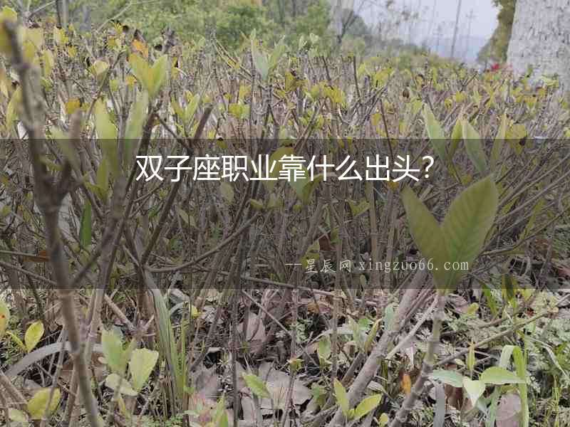 雙子座職業靠什么出頭？