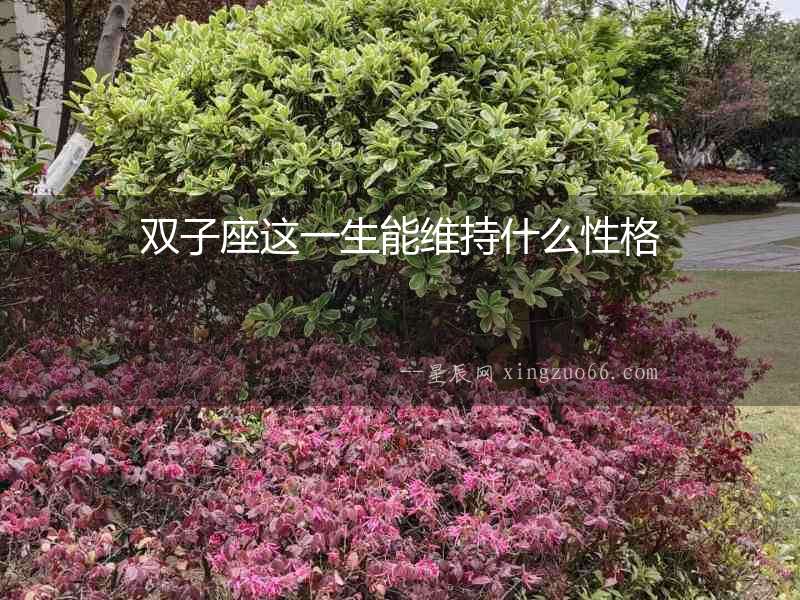 雙子座這一生能維持什么性格