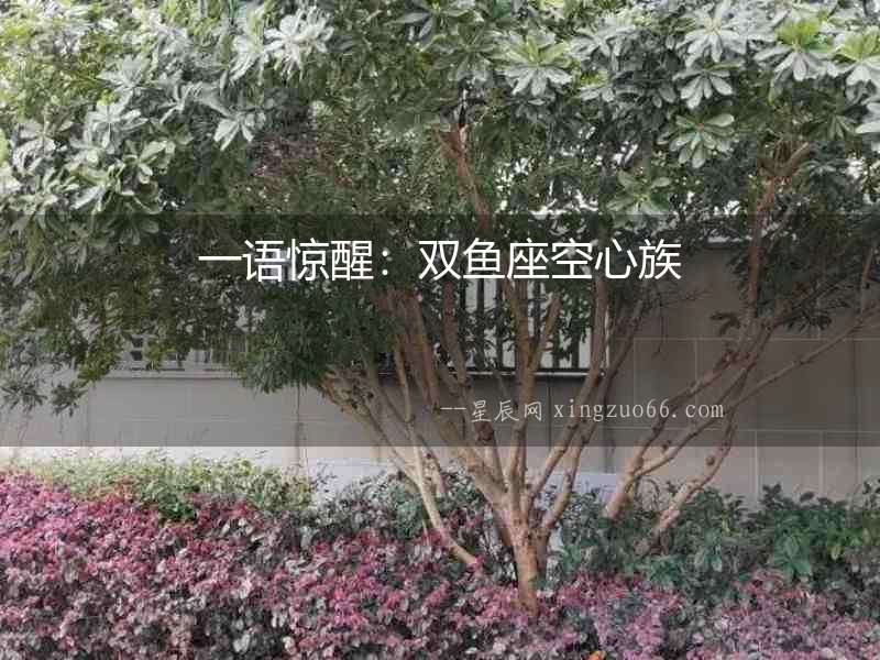 一語驚醒：雙魚座空心族