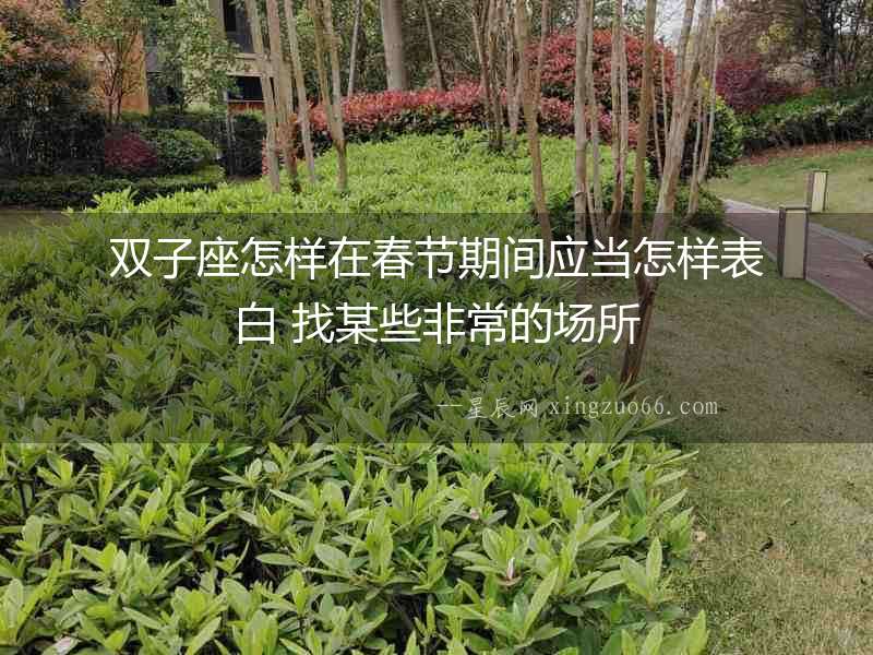 雙子座怎樣在春節期間應當怎樣表白 找某些非常的場所