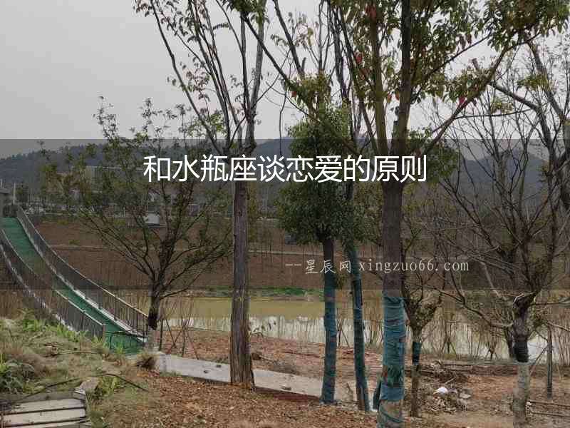 和水瓶座談戀愛的原則