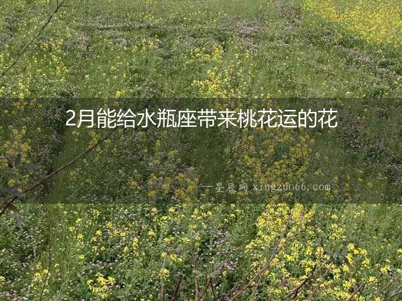 2月能給水瓶座帶來桃花運的花