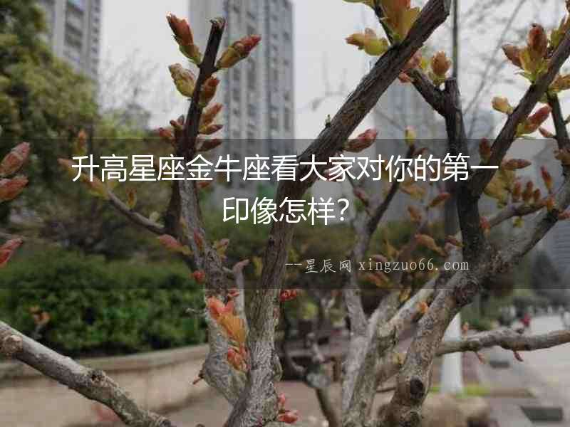 升高星座金牛座看大家對你的第一印像怎樣？