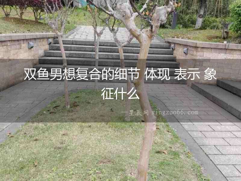 雙魚男想復合的細節 體現 表示 象征什么