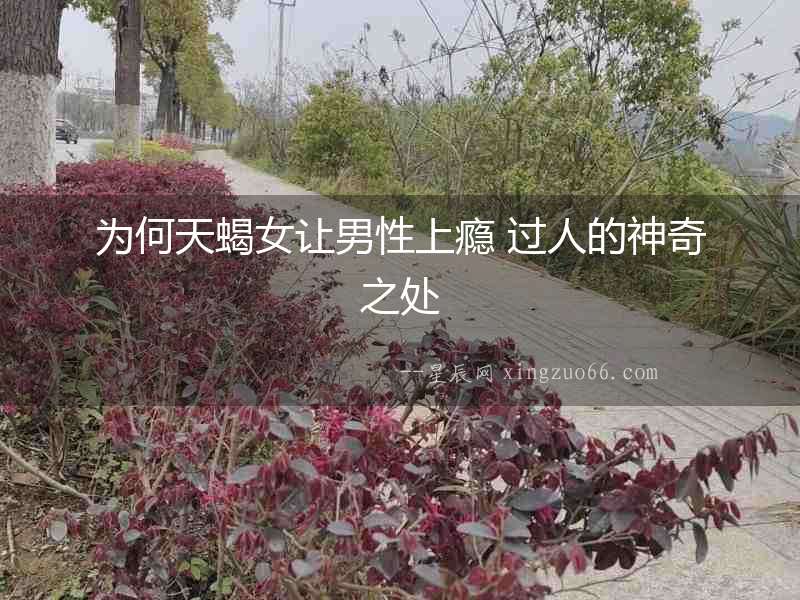 為何天蝎女讓男性上癮 過人的神奇之處