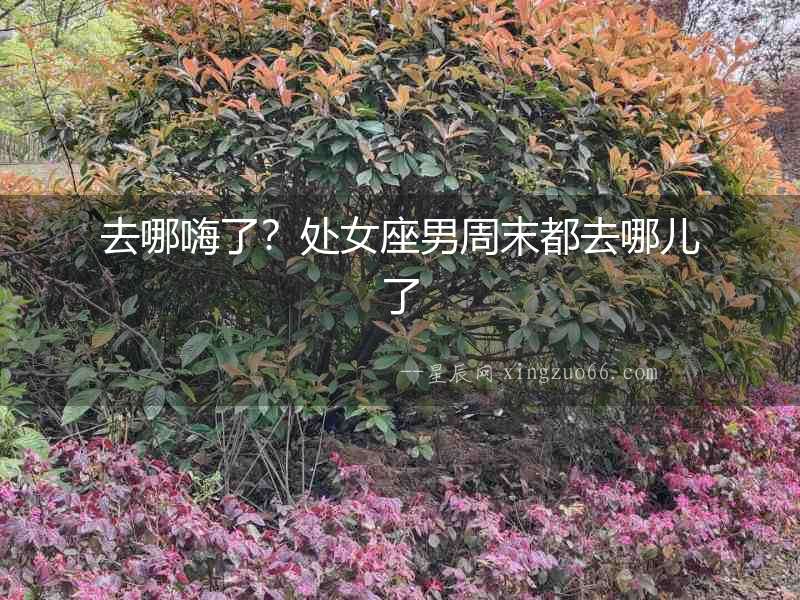 去哪嗨了？處女座男周末都去哪兒了