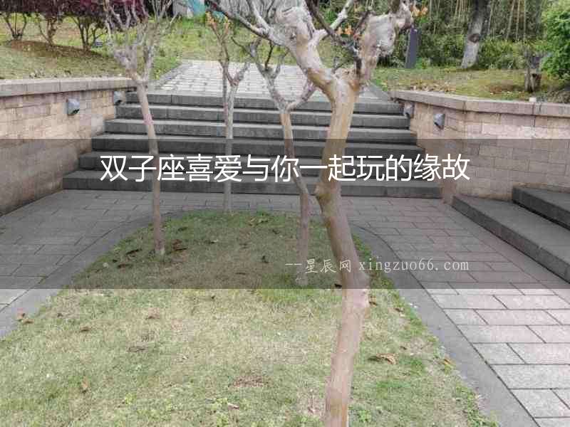 雙子座喜愛與你一起玩的緣故