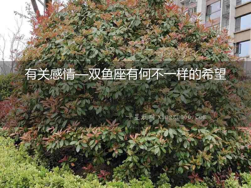 有關(guān)感情—雙魚座有何不一樣的希望