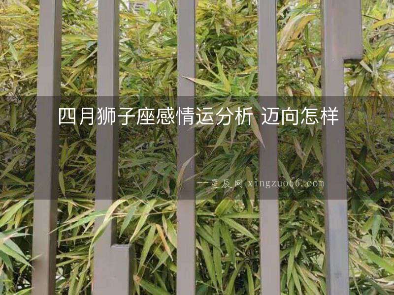 四月獅子座感情運分析 邁向怎樣