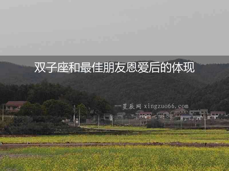 雙子座和最佳朋友恩愛后的體現