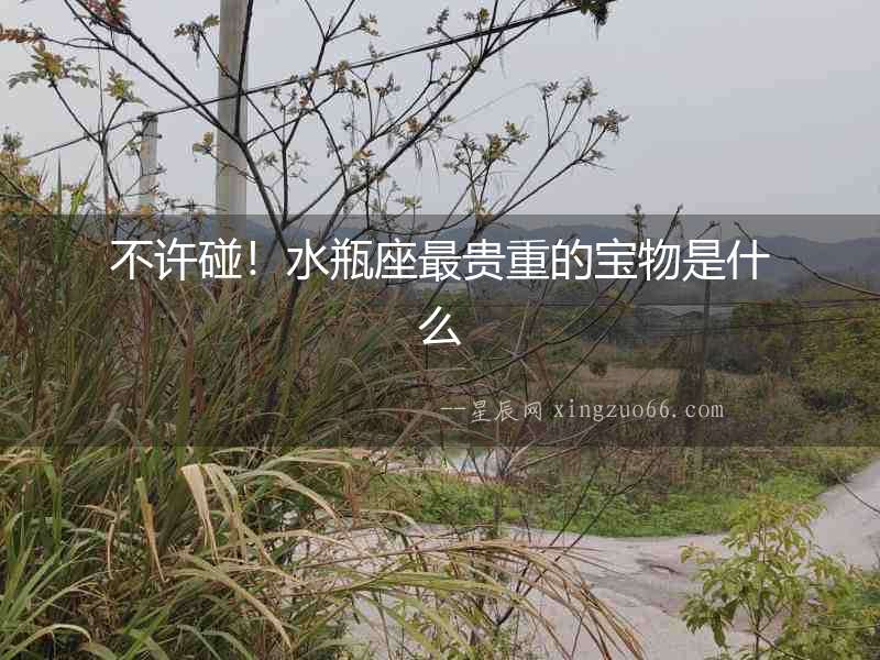 不許碰！水瓶座最貴重的寶物是什么
