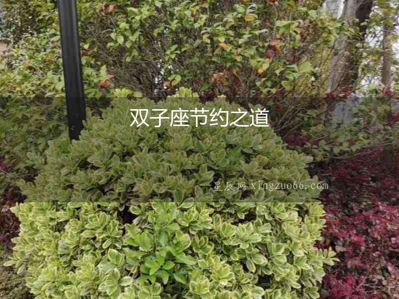 雙子座節約之道
