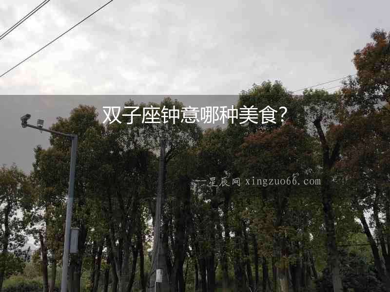 雙子座鐘意哪種美食？
