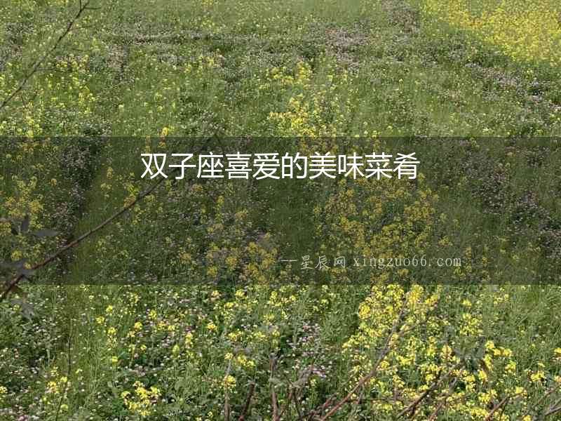 雙子座喜愛的美味菜肴