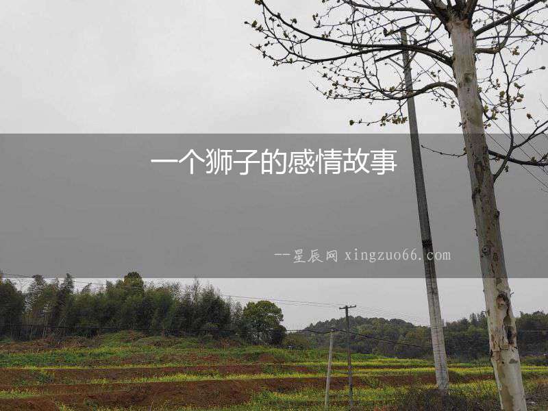 一個獅子的感情故事