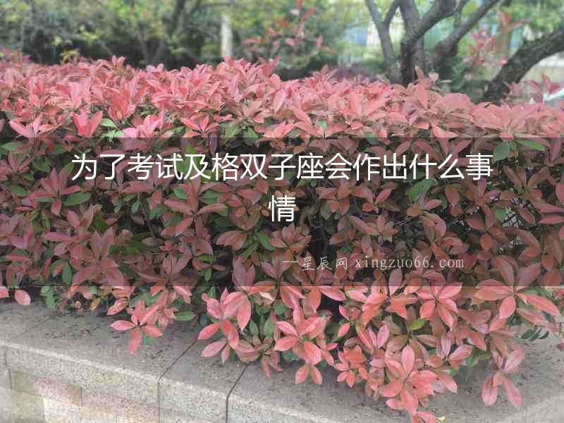 為了考試及格雙子座會(huì)作出什么事情