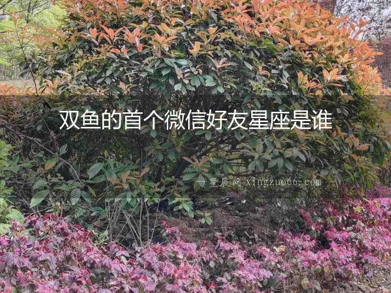 雙魚的首個微信好友星座是誰