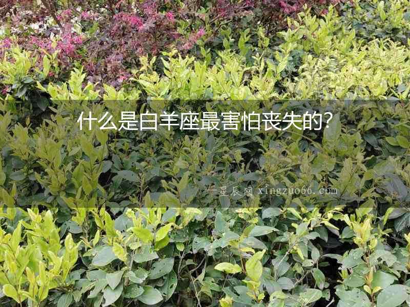 什么是白羊座最害怕喪失的？