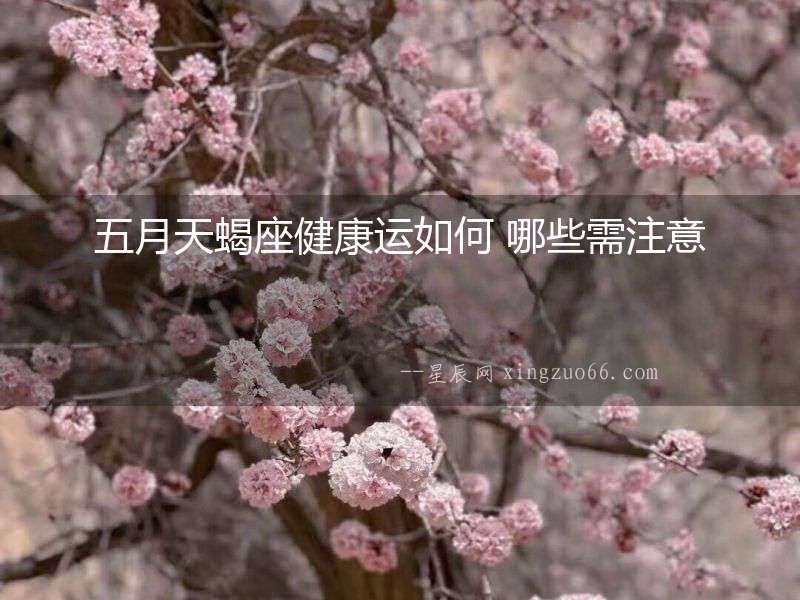 五月天蝎座健康運(yùn)如何 哪些需注意