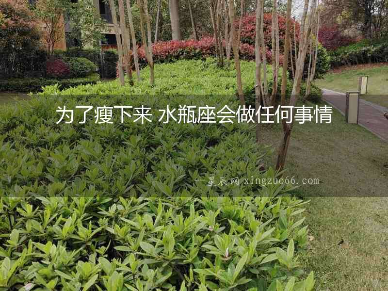 為了瘦下來 水瓶座會做任何事情