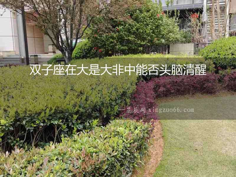 雙子座在大是大非中能否頭腦清醒