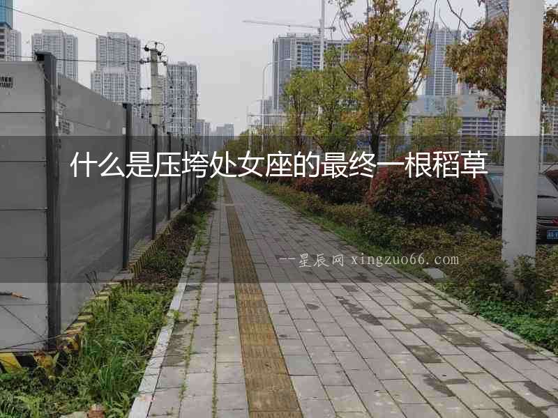 什么是壓垮處女座的最終一根稻草