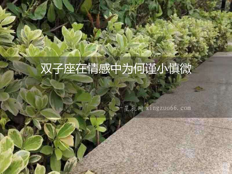 雙子座在情感中為何謹(jǐn)小慎微