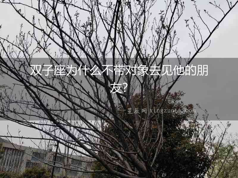 雙子座為什么不帶對象去見他的朋友？