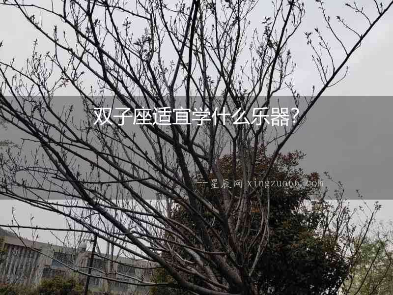 雙子座適宜學什么樂器？