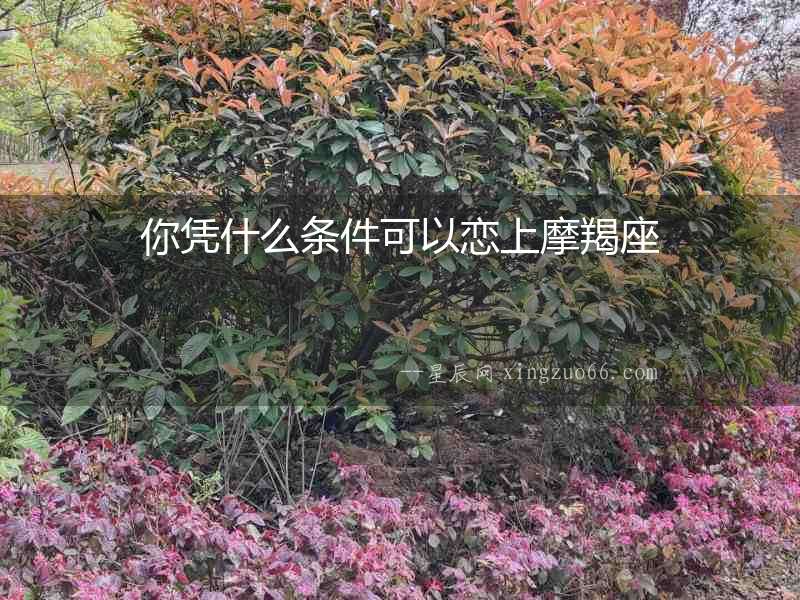 你憑什么條件可以戀上摩羯座