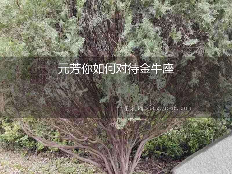 元芳你如何對待金牛座