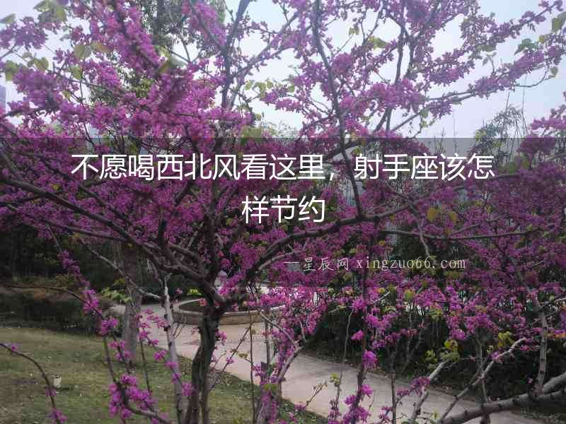 不愿喝西北風(fēng)看這里，射手座該怎樣節(jié)約