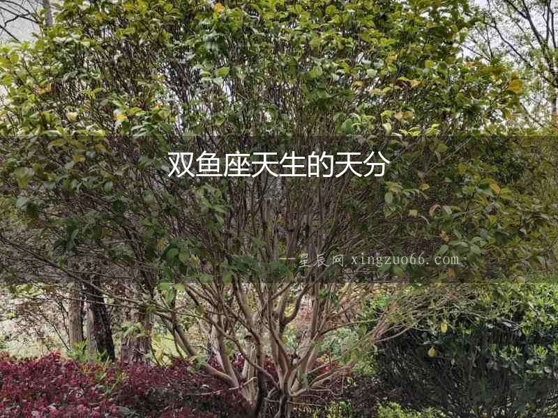 雙魚座天生的天分
