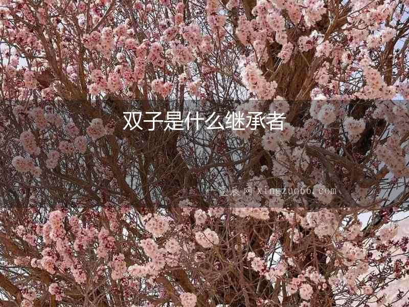 雙子是什么繼承者