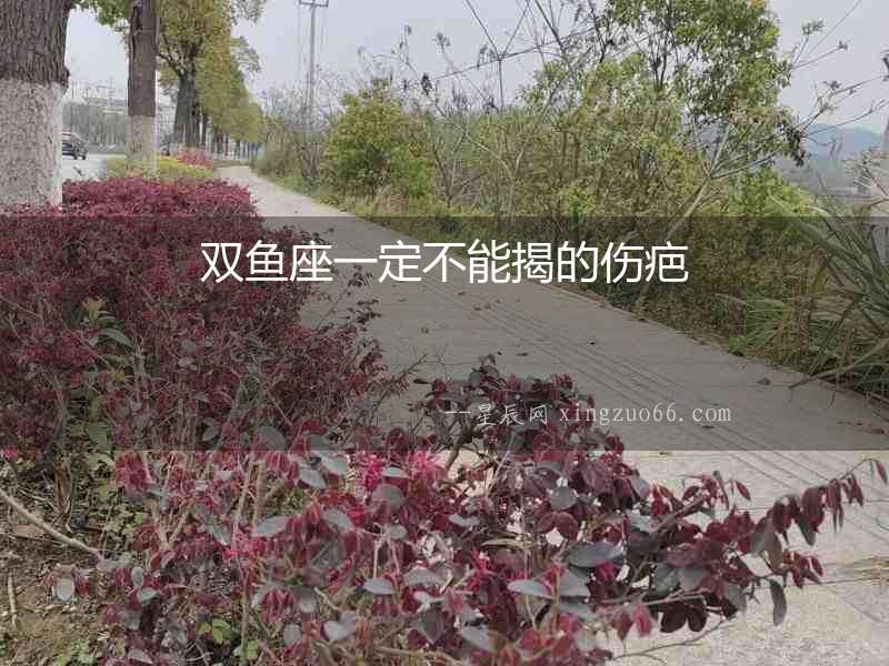雙魚座一定不能揭的傷疤