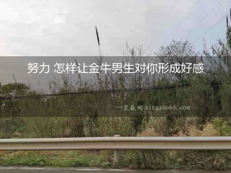 努力 怎樣讓金牛男生對你形成好感