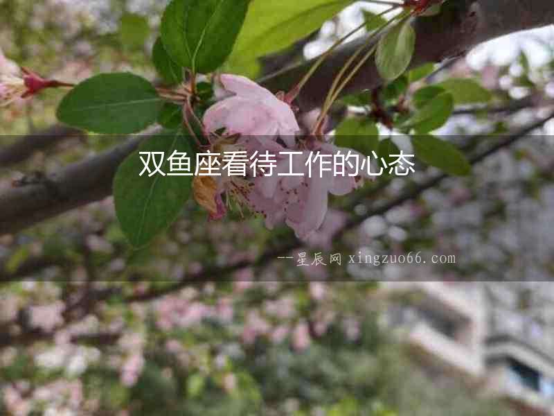 雙魚座看待工作的心態