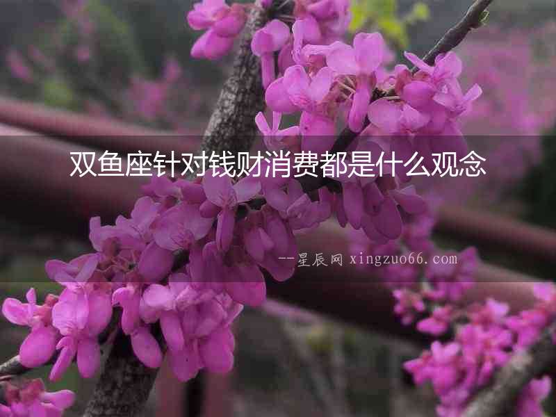 雙魚座針對錢財消費都是什么觀念