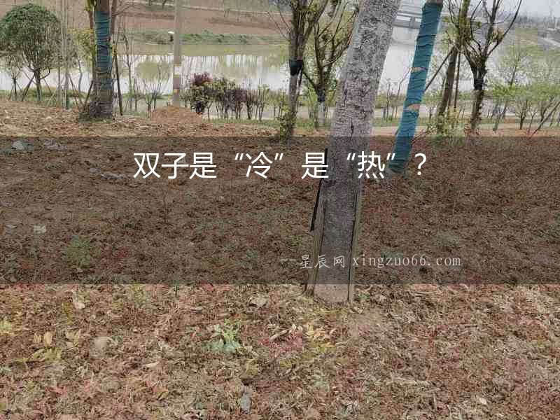 雙子是“冷”是“熱”？