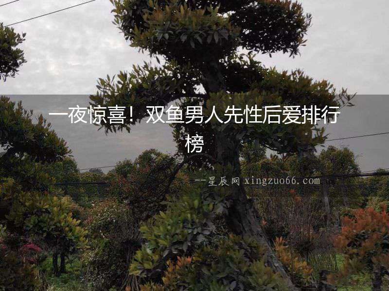 一夜驚喜！雙魚男人先性后愛排行榜