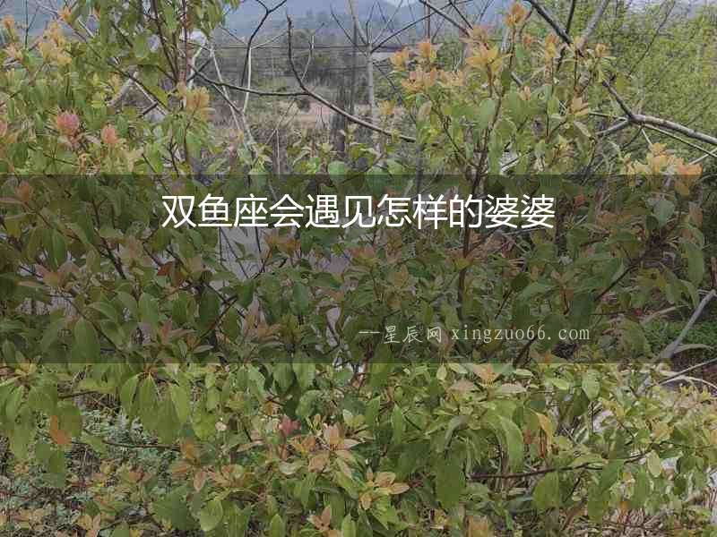 雙魚座會遇見怎樣的婆婆