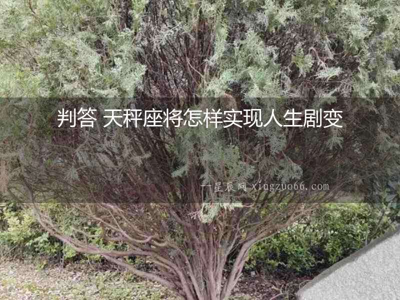 判答 天秤座將怎樣實現人生劇變