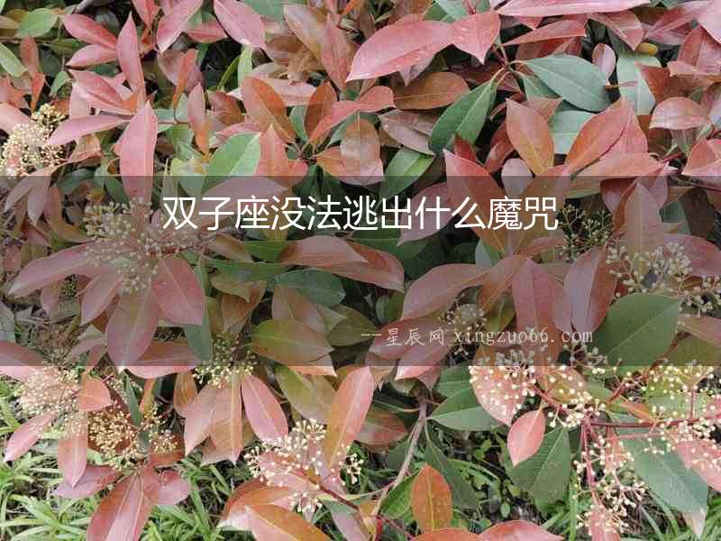 雙子座沒法逃出什么魔咒
