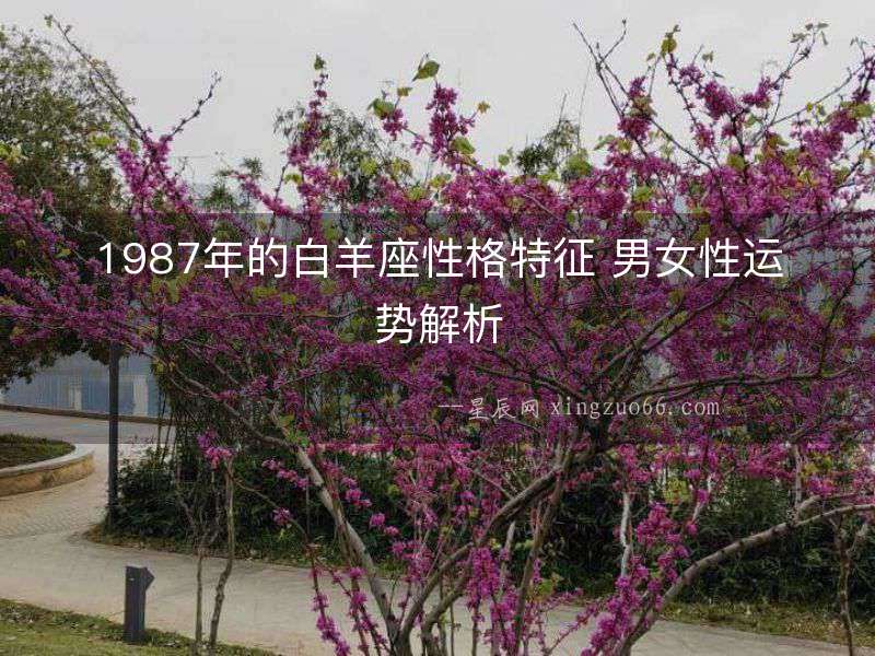 1987年的白羊座性格特征 男女性運勢解析
